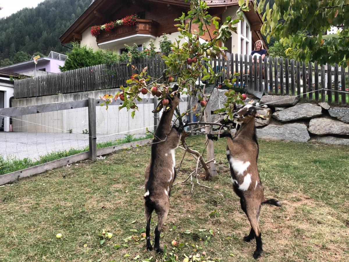 Sonnenschloessl Apartments Neustift im Stubaital Εξωτερικό φωτογραφία